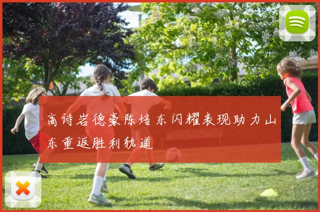 高诗岩德豪陈培东闪耀表现助力山东重返胜利轨道
